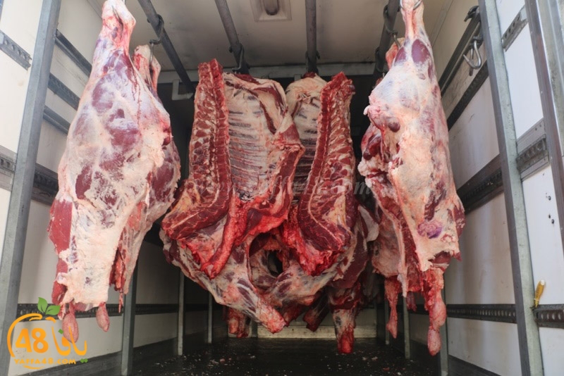 lod8om ada73y (72).JPG